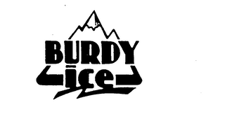 BURDY ICE trademark