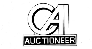 CAI AUCTIONEER