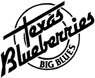 TEXAS BLUBERRIES BIG BLUES