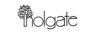 HOLGATE