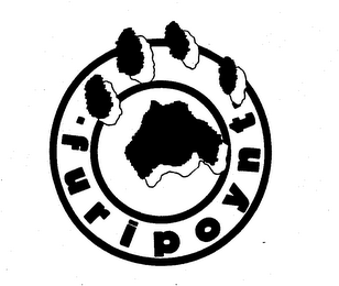 FURIPOYNT trademark