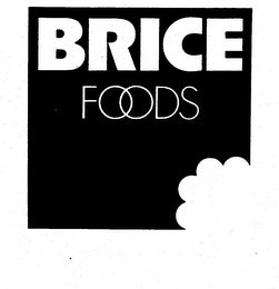 BRICE FOODS