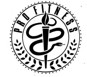 PROFITNESS trademark
