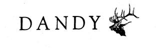 DANDY trademark