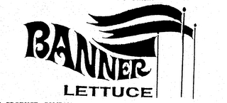 BANNER LETTUCE