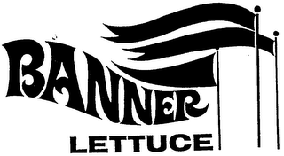 BANNER LETTUCE