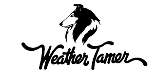 WEATHER TAMER trademark