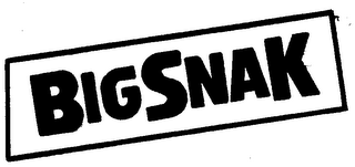 BIGSNAK trademark
