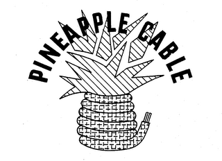 PINEAPPLE CABLE