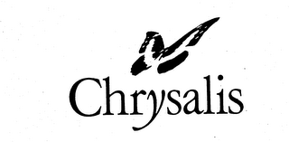 CHRYSALIS