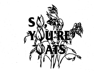 SO YOU'RE OATS trademark