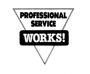 PROFESSIONAL SERVICE WORKS!