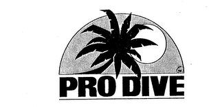 PRO DIVE trademark