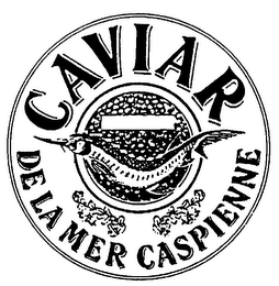 CAVIAR DE LA MER CASPIENNE