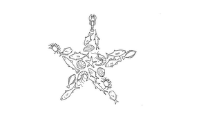 STARFISH trademark