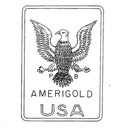P B AMERIGOLD USA trademark