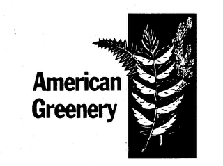 AMERICAN GREENERY trademark