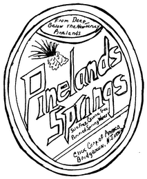 PINELANDS SPRINGS