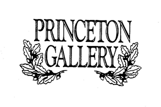 PRINCETON GALLERY trademark