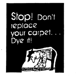 STOP! DON'T REPLACE YOUR CARPET...DYE IT!