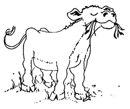 opposed trademark