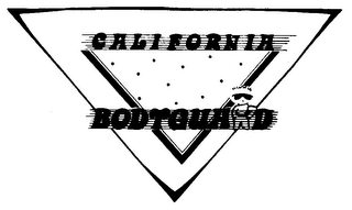 CALIFORNIA BODYGUARD