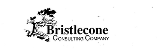 BRISTLECONE CONSULTING COMPANY