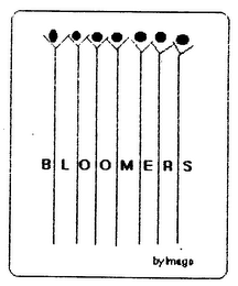 BLOOMERS