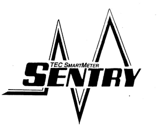 TEC SMARTMETER SENTRY