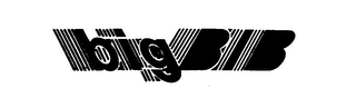 BIG BIB trademark