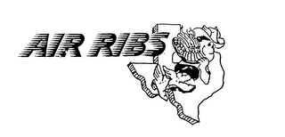 AIR RIBS trademark