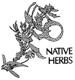 NATIVE HERBS trademark