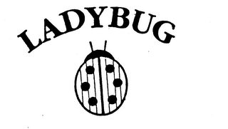 LADYBUG