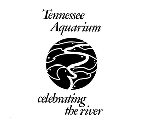 TENNESSEE AQUARIUM CELEBRATING THE RIVER