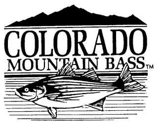 COLORADO MOUNTAIN BASS