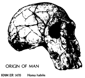 ORIGIN OF MAN KNM ER 1470 HOMO HABILIS HOMO HABLLIS IS THE NAME GIVEN TO THE FIRST KNOWN STAGE OF EARLY MAN IN THE LINE LEADING TO OURSELVES.  IT DATES TO ABOUT2 MILLION YEARS AGO.