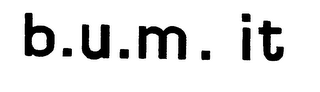 B.U.M. IT trademark