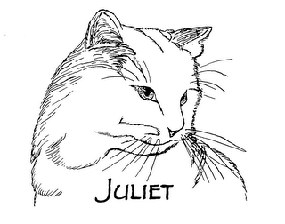 JULIET trademark