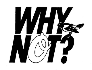 WHY NOT? trademark