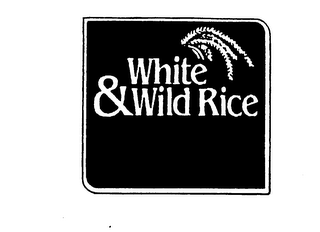 WHITE & WILD RICE