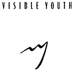 VISIBLE YOUTH