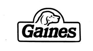 GAINES