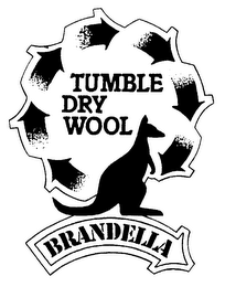 TUMBLE DRY WOOL BRANDELLA