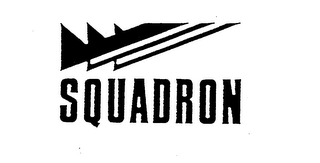 SQUADRON