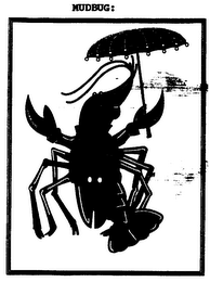 MUDBUG