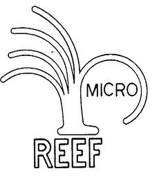 MICRO REEF