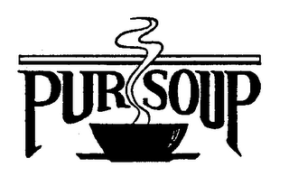 PUR SOUP