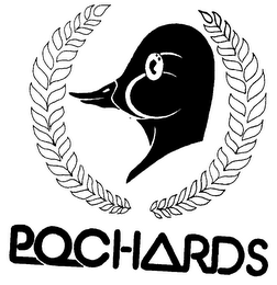 POCHARDS