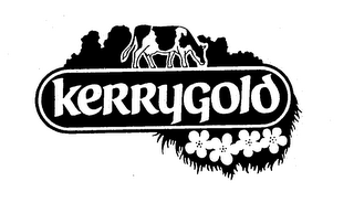 KERRYGOLD