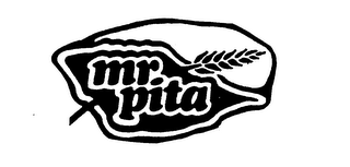 MR. PITA